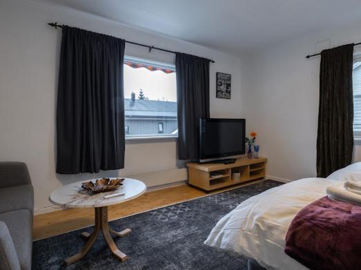 Aurora Dream House Apartment With Free Parking Tromsø Exterior foto